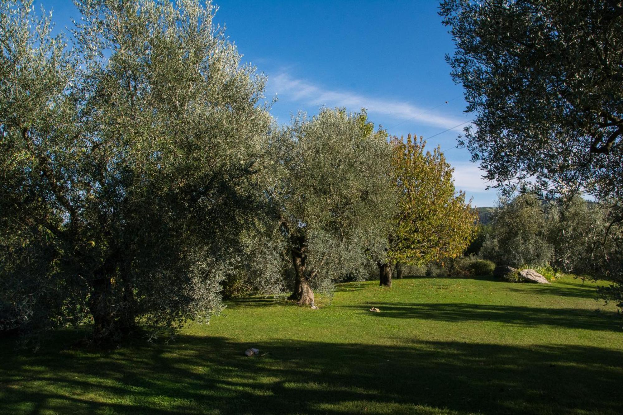 La Sassaia Villa Carmignano Exterior photo
