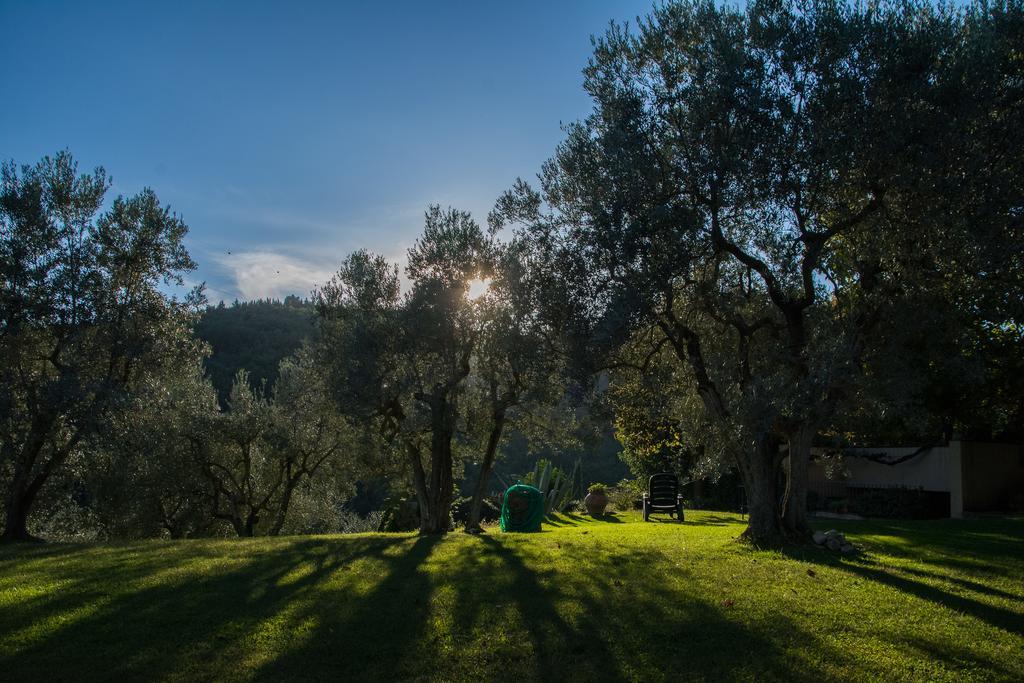 La Sassaia Villa Carmignano Exterior photo